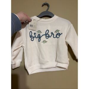 Snug Toddler Boy Knit Embroidered White Sweater Dinosaur Big Bro 2T NWT